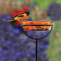 Mosaic Birds Cuban Garden Stake Bird Feeder, 20.3-oz, Orange slide 2 of 6