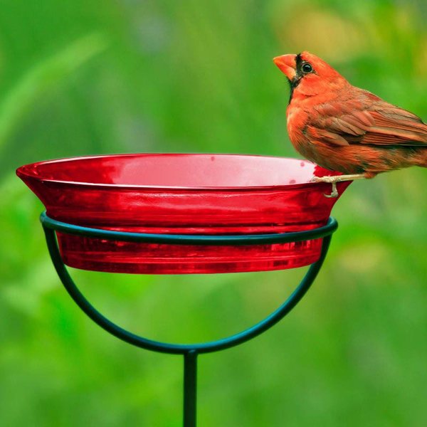 Mosaic Birds Cuban Garden Stake Bird Feeder, 20.3-oz