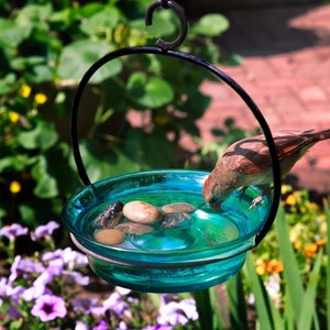 Mosaic Birds Cuban Hanging Bird Bath & Feeder, 20-oz, Aqua