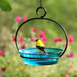 Mosaic Birds Cuban Hanging Bird Bath & Feeder, 20-oz, Aqua