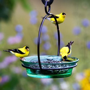 Mosaic Birds Cuban Hanging Bird Bath & Feeder, 20-oz, Aqua