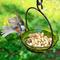 Show in main carousel: Mosaic Birds Cuban Hanging Bird Bath & Feeder, 20-oz, Lime slide 2 of 9