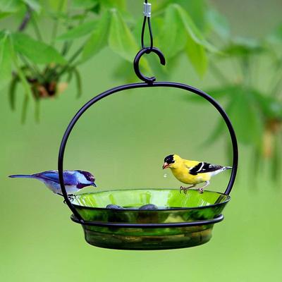 Show full view: Mosaic Birds Cuban Hanging Bird Bath & Feeder, 20-oz, Lime slide 3 of 9
