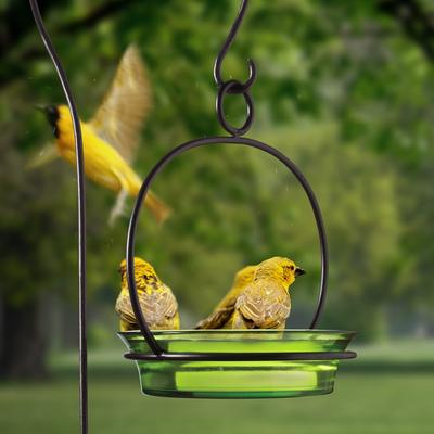 Show full view: Mosaic Birds Cuban Hanging Bird Bath & Feeder, 20-oz, Lime slide 6 of 9