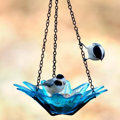 Show full view: Mosaic Birds Daisy Petite Hanging Bird Feeder, 10.1-oz, Aqua slide 4 of 8