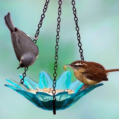 Show full view: Mosaic Birds Daisy Petite Hanging Bird Feeder, 10.1-oz, Aqua slide 3 of 8