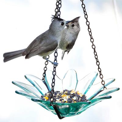 Show full view: Mosaic Birds Daisy Petite Hanging Bird Feeder, 10.1-oz, Clear slide 3 of 6