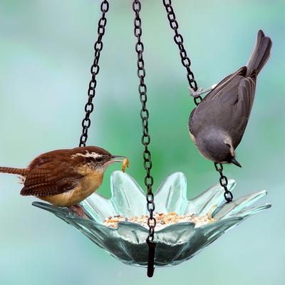 Show full view: Mosaic Birds Daisy Petite Hanging Bird Feeder, 10.1-oz, Clear slide 2 of 6