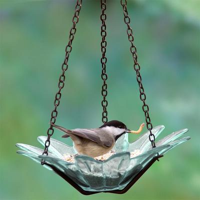 Show full view: Mosaic Birds Daisy Petite Hanging Bird Feeder, 10.1-oz, Clear slide 4 of 6