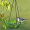 Show in main carousel: Mosaic Birds Daisy Petite Hanging Bird Feeder, 10.1-oz, Lime slide 4 of 6
