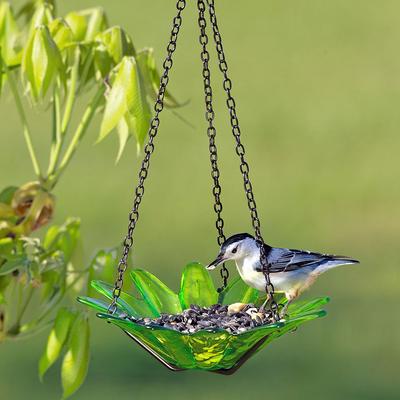 Show full view: Mosaic Birds Daisy Petite Hanging Bird Feeder, 10.1-oz, Lime slide 4 of 6