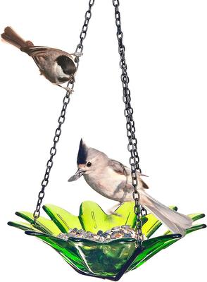 Show full view: Mosaic Birds Daisy Petite Hanging Bird Feeder, 10.1-oz, Lime slide 2 of 6