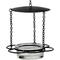 Show in main carousel: Mosaic Birds Floral Hanging Bird Feeder, 3.4-oz, Clear slide 1 of 6