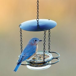 Mosaic Birds Floral Hanging Bird Feeder, 3.4-oz, Clear slide 2 of 6
