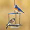 Show in main carousel: Mosaic Birds Floral Hanging Bird Feeder, 3.4-oz, Clear slide 2 of 6