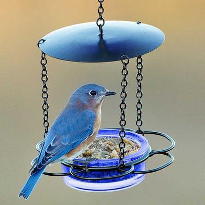 Show full view: Mosaic Birds Floral Hanging Bird Feeder, 3.4-oz, Cobalt slide 2 of 6