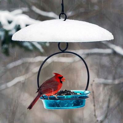 Show full view: Mosaic Birds Glass Baffle Bird Weather Dome, 15-in, Clear slide 6 of 8