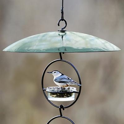 Show full view: Mosaic Birds Glass Baffle Bird Weather Dome, 15-in, Clear slide 5 of 8