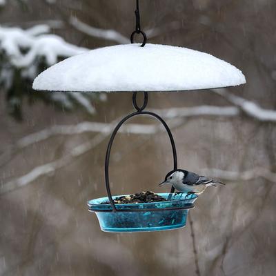 Show full view: Mosaic Birds Glass Baffle Bird Weather Dome, 15-in, Cobalt Blue slide 6 of 7