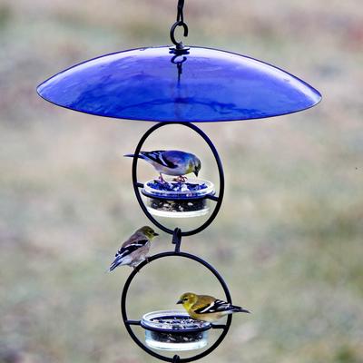 Show full view: Mosaic Birds Glass Baffle Bird Weather Dome, 15-in, Cobalt Blue slide 4 of 7