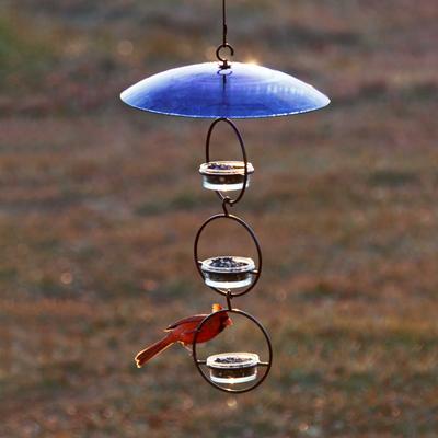 Show full view: Mosaic Birds Glass Baffle Bird Weather Dome, 15-in, Cobalt Blue slide 2 of 7