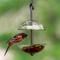 Show in main carousel: Mosaic Birds Hanging Double Poppy Bird Feeder, Clear slide 2 of 5