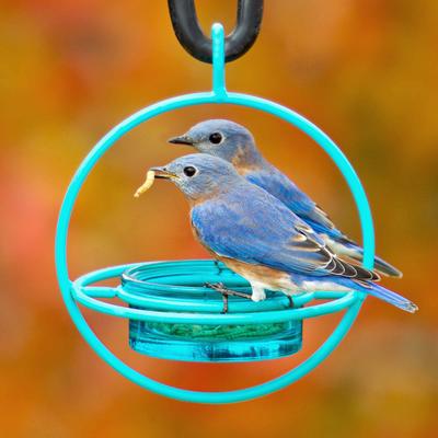 Show full view: Mosaic Birds Hummble Basic Bird Feeder, Aqua slide 2 of 7