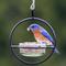 Show in main carousel: Mosaic Birds Hummble Basic Bird Feeder, Clear slide 2 of 10
