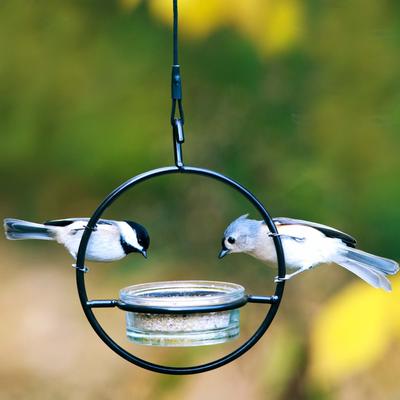Show full view: Mosaic Birds Hummble Basic Bird Feeder, Clear slide 7 of 10