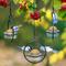 Show in main carousel: Mosaic Birds Hummble Basic Bird Feeder, Clear slide 3 of 10