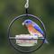 Show in main carousel: Mosaic Birds Hummble Basic Bird Feeder, Clear slide 4 of 10