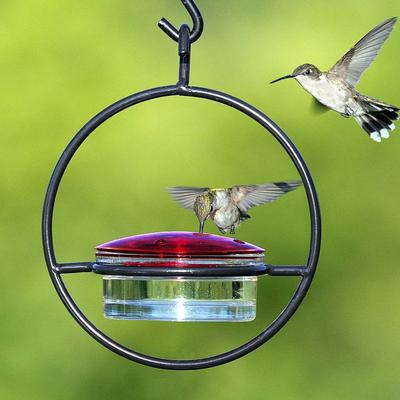 Show full view: Mosaic Birds Hummble Basic Bird Feeder, Clear/Red slide 2 of 10