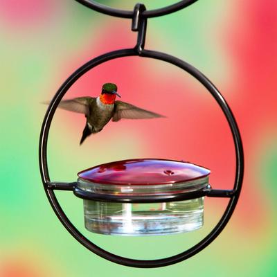 Show full view: Mosaic Birds Hummble Basic Bird Feeder, Clear/Red slide 7 of 10