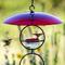 Show in main carousel: Mosaic Birds Hummble Basic Bird Feeder, Clear/Red slide 6 of 10