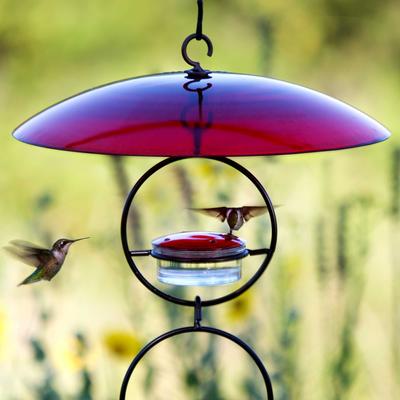 Show full view: Mosaic Birds Hummble Basic Bird Feeder, Clear/Red slide 6 of 10