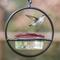 Show in main carousel: Mosaic Birds Hummble Basic Bird Feeder, Clear/Red slide 3 of 10