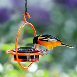 Mosaic Birds Hummble Basic Bird Feeder, Orange slide 2 of 8