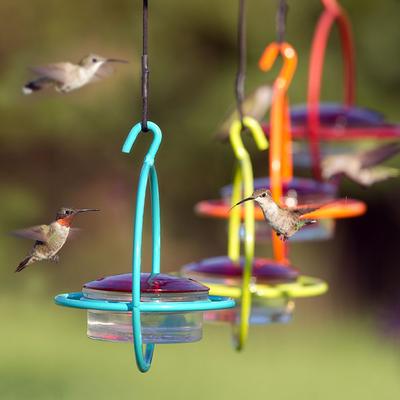 Show full view: Mosaic Birds Hummble Bold Wild Bird Feeder, Aqua slide 6 of 8