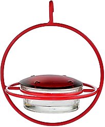 Mosaic Birds Hummble Bold Wild Bird Feeder, Clear/Red