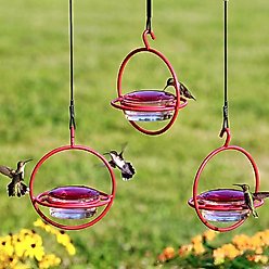 Mosaic Birds Hummble Bold Wild Bird Feeder, Clear/Red slide 2 of 9