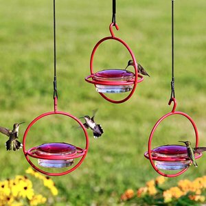 Mosaic Birds Hummble Bold Wild Bird Feeder, Clear/Red