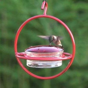 Mosaic Birds Hummble Bold Wild Bird Feeder, Clear/Red