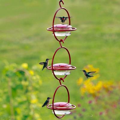 Show full view: Mosaic Birds Hummble Bold Wild Bird Feeder, Clear/Red slide 4 of 10