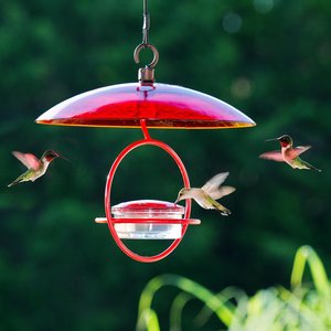 Mosaic Birds Hummble Bold Wild Bird Feeder, Clear/Red