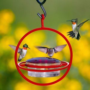Mosaic Birds Hummble Bold Wild Bird Feeder, Clear/Red