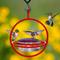 Show in main carousel: Mosaic Birds Hummble Bold Wild Bird Feeder, Clear/Red slide 2 of 10