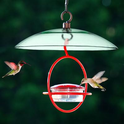 Show full view: Mosaic Birds Petite Glass Baffle Bird Weather Dome, 11-in, Clear slide 5 of 7