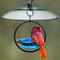 Show in main carousel: Mosaic Birds Petite Glass Baffle Bird Weather Dome, 11-in, Clear slide 4 of 7