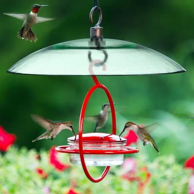 Show full view: Mosaic Birds Petite Glass Baffle Bird Weather Dome, 11-in, Clear slide 3 of 7