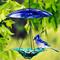 Show in main carousel: Mosaic Birds Petite Glass Baffle Bird Weather Dome, 11-in, Cobalt Blue slide 4 of 7